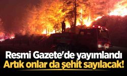 Resmi Gazete'de yayımlandı: Artık onlar da şehit sayılacak!