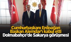 Cumhurbaşkanı Erdoğan, Yusuf Alemdar ile görüştü