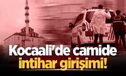 Kocaali'de camide intihar girişimi!