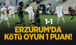 Erzurumspor: 1 Sakaryaspor: 1