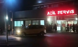 Kestiği ağacın altına kalıp öldü