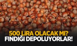 Fındık üreticileri mahsullerini evde depoluyor: Beklenti 500 lira