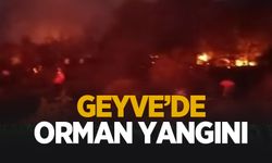 Geyve ormanlık alanda yangın çıktı