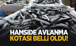 Hamsi avcılığında kota belirlendi
