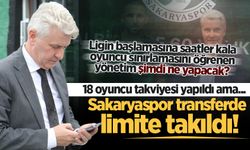 Sakaryaspor transferde limite takıldı! 18 oyuncu takviyesi yapıldı ama...