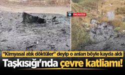 Taşkısığı'nda çevre katliamı!