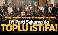 İYİ Parti Sakarya'da toplu istifa!