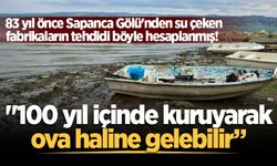 83 yıl önce Sapanca Gölü'nden su çeken fabrikaların tehdidi böyle hesaplanmış!