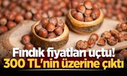 Fındık fiyatları uçtu! 300 TL'nin üzerine çıktı