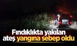 Fındıklıkta yakılan ateş yangına sebep oldu