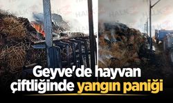 Geyve'de hayvan çiftliğinde yangın paniği