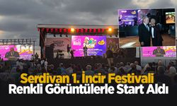 Serdivan'da 1. İncir Festivali başladı