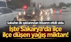 Sakarya'ya düşen yağış miktarı belli oldu!