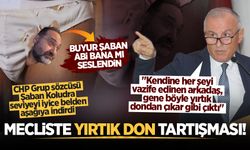 CHP Grup sözcüsü Şaban Koludra seviyeyi iyice belden aşağıya indirdi: Mecliste yırtık don tartışması!