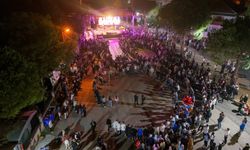 Ferizli 2. Tarım Festivali muhteşem finalle kapandı