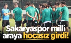 Sakaryaspor milli araya hocasız girdi!