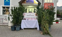 Jandarmadan uyuşturucu operasyonu: 1 tutuklama