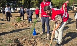Kızılay Sakarya, fidan dikerek iklim değişikliğine dikkat çekti