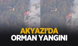 Akyazı'da orman yangını çıktı