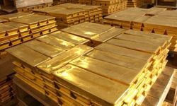 Merkez bankasının rezervleri rekor kırdı
