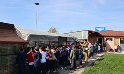 Sevgi dolu buluşma: Can dostların yeni dünyasına hayran kaldılar