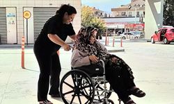 Piknik yaparken yılan ısırdı, hastaneye kaldırıldı