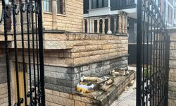 14 yaşındaki çocuğun üzerine beton korkuluk düştü