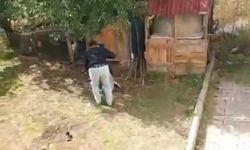 Annesini ve kız kardeşini darbetti