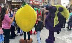 Ayva Festivali başladı
