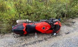 Bilecik'te meydana gelen trafik kazasında 1 kişi yaralandı