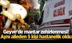 Geyve'de mantar zehirlenmesi! Aynı aileden 5 kişi hastanelik oldu