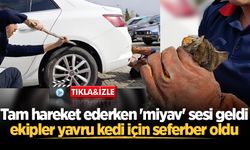 Tam hareket ederken 'miyav' sesi geldi, ekipler yavru kedi için seferber oldu