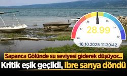 Su seviyesi giderek düşüyor... Sapanca Gölü'nde ibre renk değiştirdi!