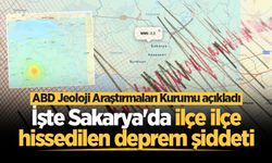 ABD Jeoloji Araştırmaları Kurumu açıkladı: İşte Sakarya'da ilçe ilçe hissedilen deprem şiddeti