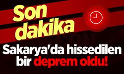 Sakarya'da hissedilen bir deprem oldu!