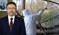 Bakan Yumaklı'dan kahverengi kokarcayla mücadele açıklaması: 1 milyondan fazla hanede ilaçlama yapıldı