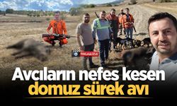 Avcıların nefes kesen domuz sürek avı
