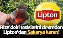 Rize'deki tesislerini devreden Lipton'dan Sakarya kararı!