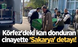 Körfez'deki kan donduran cinayette 'Sakarya' detayı!