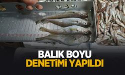 Sakarya'da balık boyu denetimi yapıldı