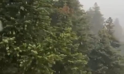Uludağ'a mevsimin ilk karı düştü
