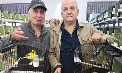 Kanarya yarışmasında Sakarya'ya iki birincilik ödülü