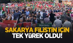 Sakarya Filistin'in sesi oldu!