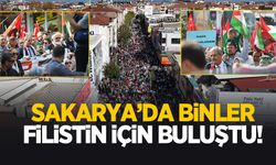 Sakarya Filistin'in sesi oldu!