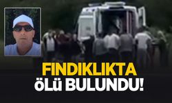 Fındıklıkta ölü bulundu