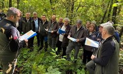 Sakarya’da kestane üretimi için saha çalışması gerçekleştirildi