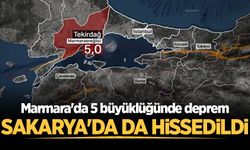 Sakarya'da hissedilen bir deprem oldu!