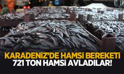 721 ton hamsi avladılar