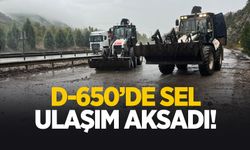 D-650 karayolunda sel engeli