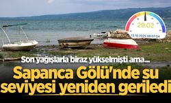 Son yağışlarla biraz yükselmişti ama... Sapanca Gölü'nde su seviyesi yeniden geriledi